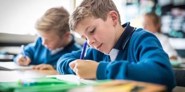 （求学新西兰）从幼儿园到大学，选择ACG教育集团，总有一款适合您