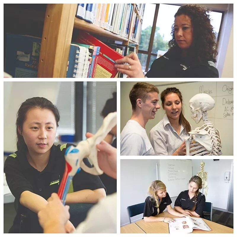 （求学新西兰）从幼儿园到大学，选择ACG教育集团，总有一款适合您