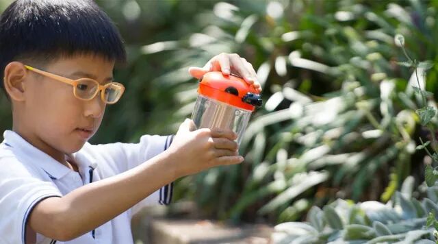 学术成绩的标杆、“尖子生”连年高产的【ACG帕奈尔学校】