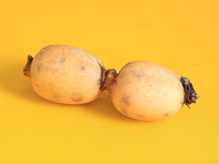 莲藕的营养价值很高,富含铁,钙等微量元素,能增进食欲,促进消化.