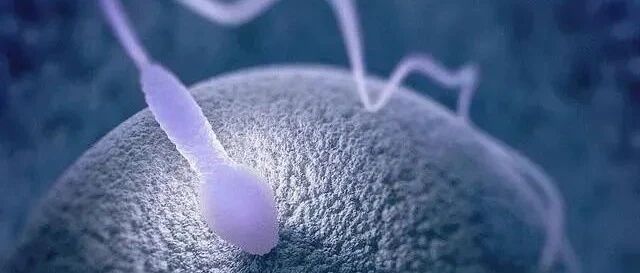 全球男性精子数量下滑！一大元凶或是这个导致的化学污染！