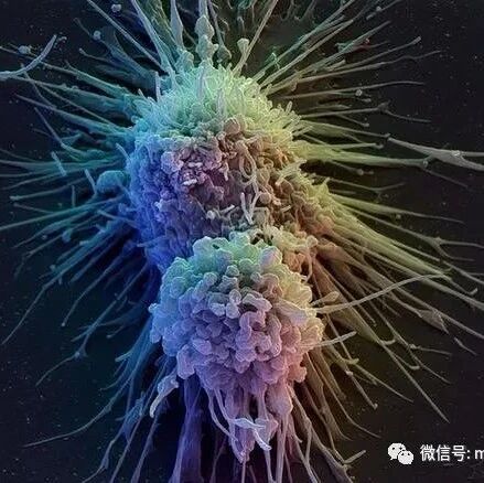 医生：5类人已进入癌症候选名单！