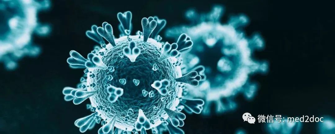 去年12月前新冠病毒或已「隱秘傳播」，不一定起源於武漢 健康 第1張