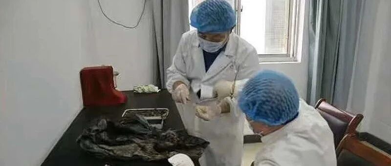 西安接诊多例出血热，是吃草莓造成的吗？发烧头痛要警惕！专家说......