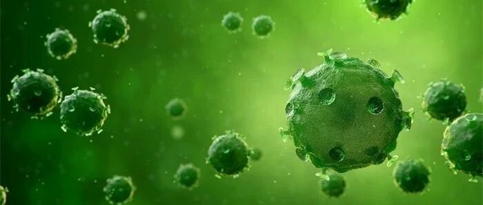 中国疾控中心发布重大发现！接触它可感染新冠！