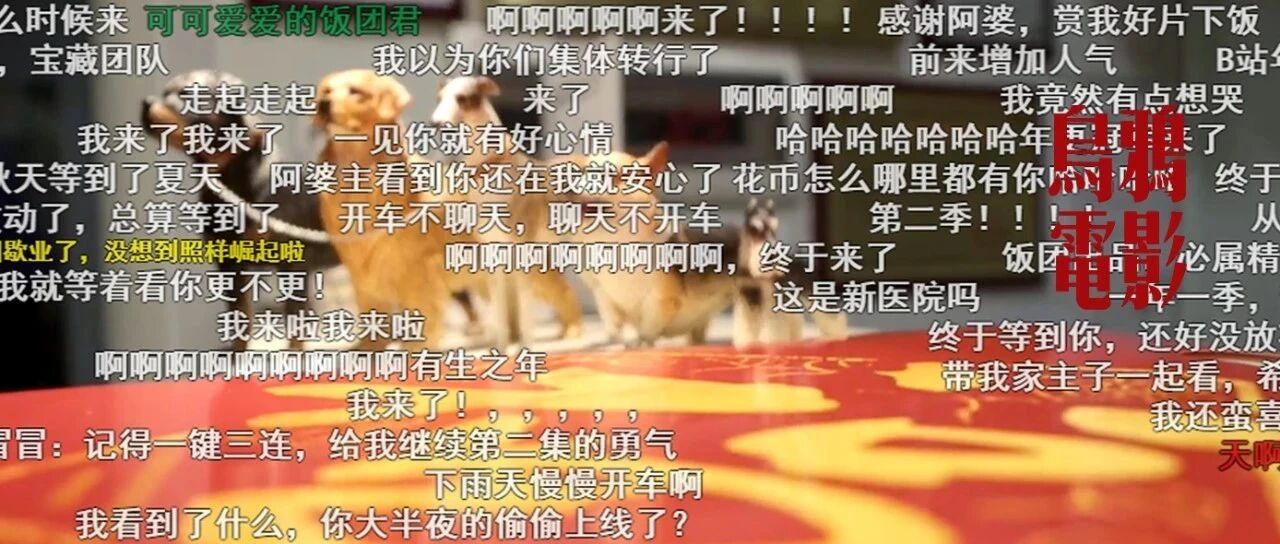 豆瓣9.2，无人问津的良心国产片，关键时刻救你狗命！