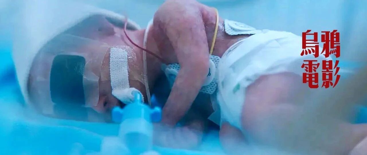 豆瓣9.3，央视放大招，60万同胞的泣血故事，才100多人看?