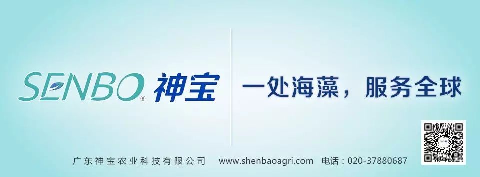 國內農藥三巨頭今起合作!諾普信獲益原藥長期穩定供應