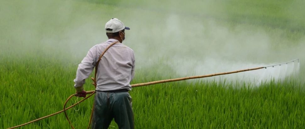 农产品频曝农残超标！如何拯救浸泡在农药里的中国?