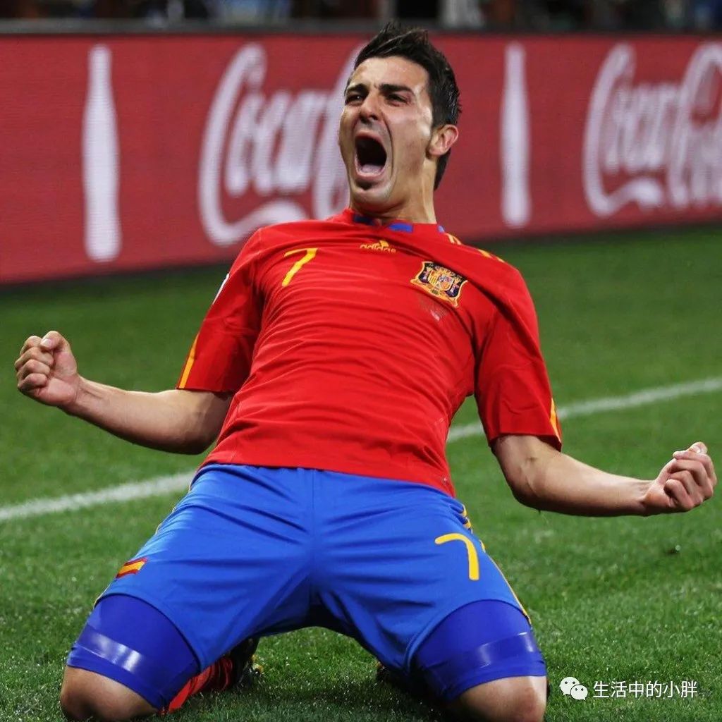 2014世界杯西班牙阵容_14西班牙阵容_10年世界杯西班牙阵容