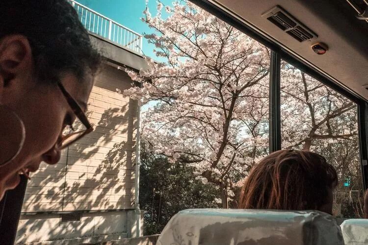 世界各国首都_世界各国首都表_最新世界各国首都名称大全