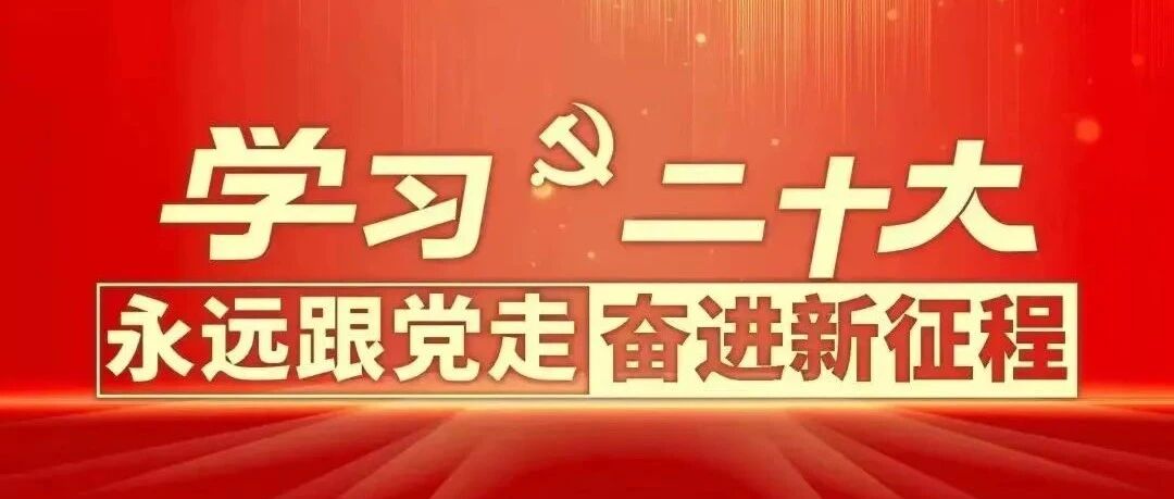 【红色金南】金南镇团员青年学习热议党的二十大报告