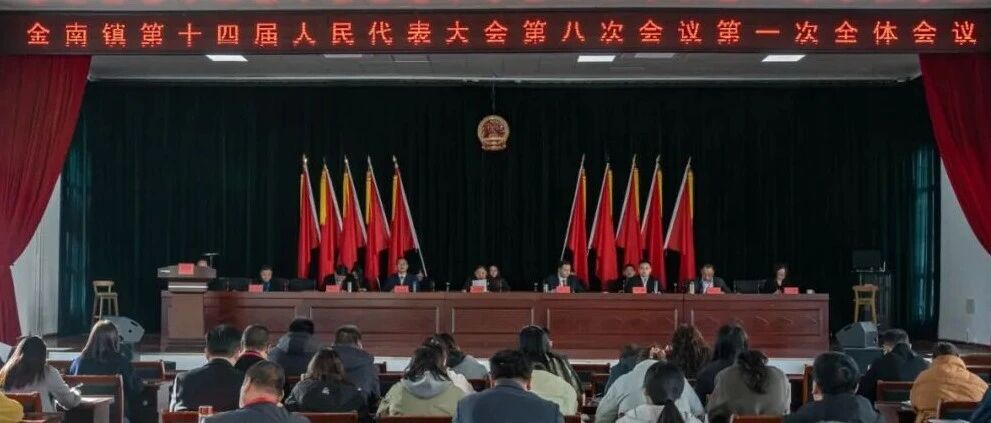 金南镇第十四届人民代表大会第八次会议胜利召开
