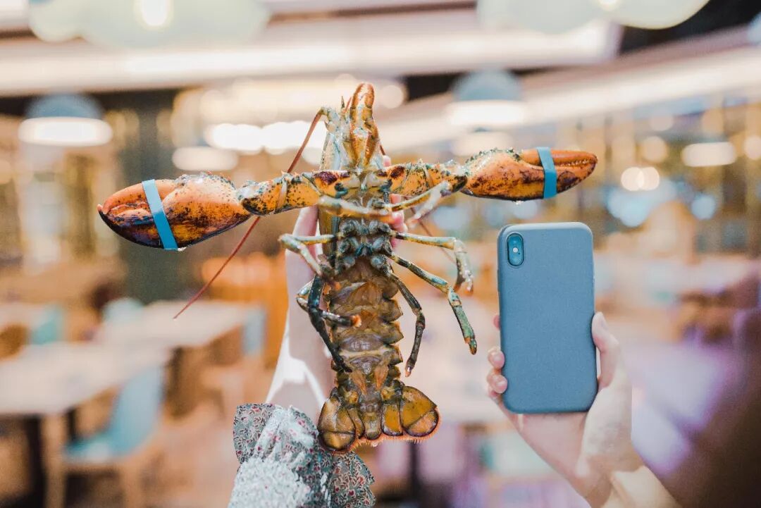 118元海鲜大餐 帝王蟹 珍宝蟹 波龙 近百种海鲜现捞现做 刚还完花呗也敢放肆吃 合肥超人叔叔 微信公众号文章阅读