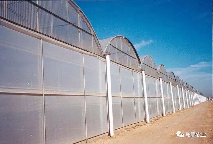 pc板连栋温室设计建造技术