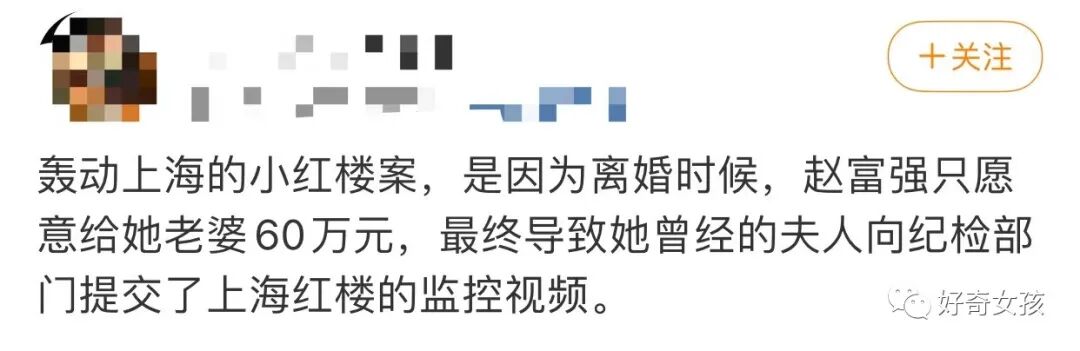 靠逼老婆卖淫发财，买豪宅圈养多位情人性贿赂官员！这个恶魔被判死刑（组图） - 9
