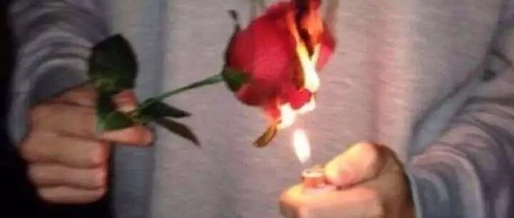 “好的感情，是细水长流地把你宠坏”