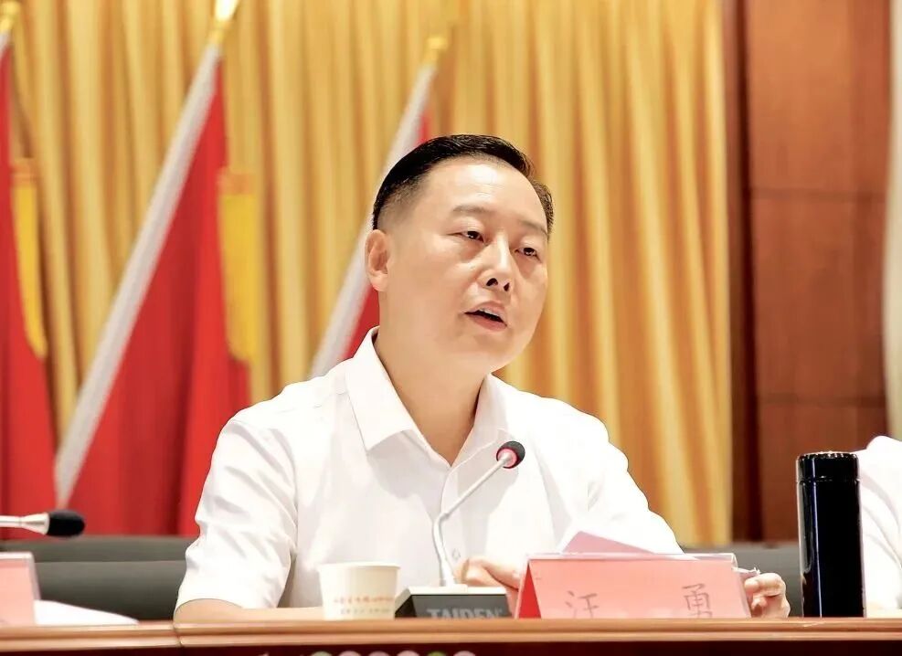 中共下陆区委十一届三次全体(扩大)会议暨第三轮双月述评大会举行