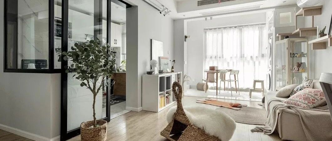 60㎡小屋收纳进了满房杂物，还有4只猫咪主子！