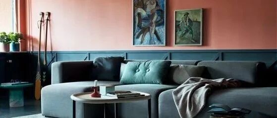 25个国外独具魅力的客厅色彩搭配案例