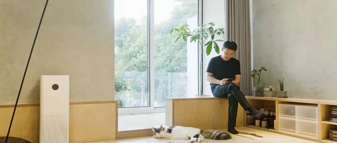 杭州夫妻买下40㎡破房，挖空地板造房中房，有"山"有猫有"庭院"~