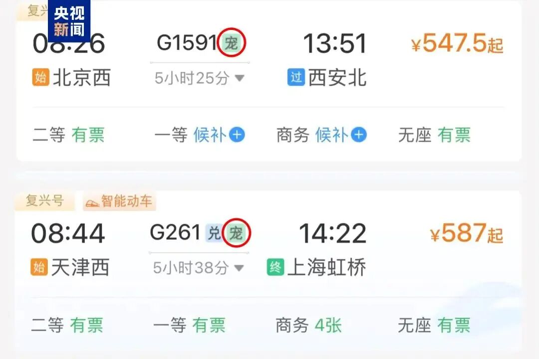 累计4757单！宠物出行加速驶入新赛道