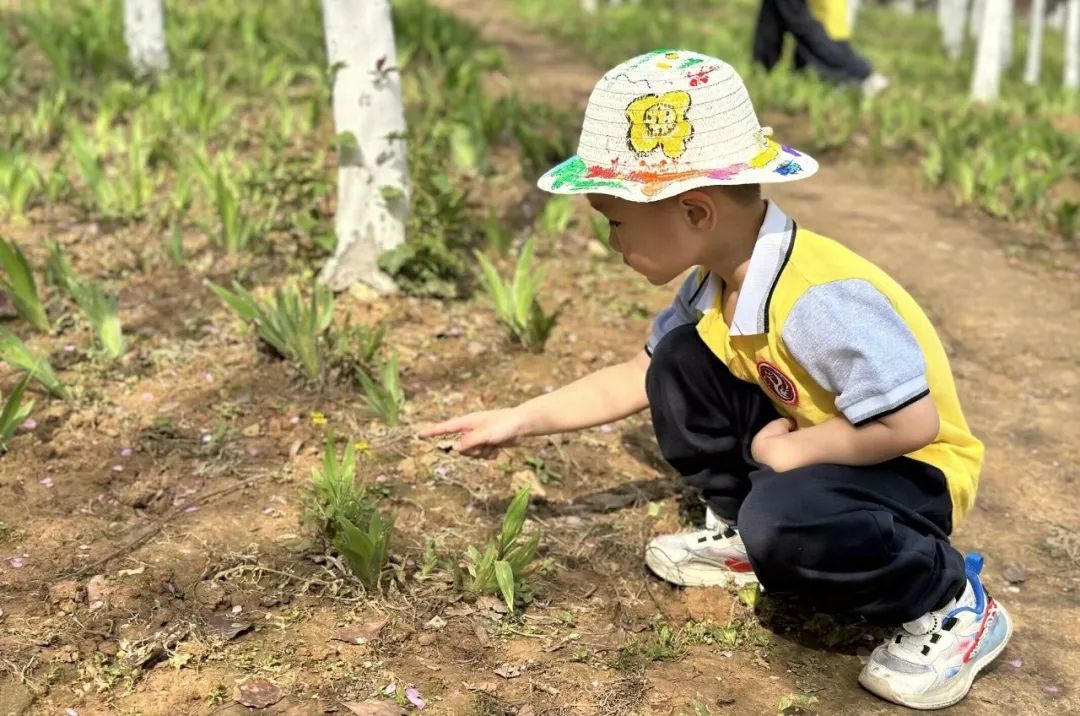 一隅自然 “育”见成长||泸州市梓橦路学校附属幼儿园“自然周”主题活动