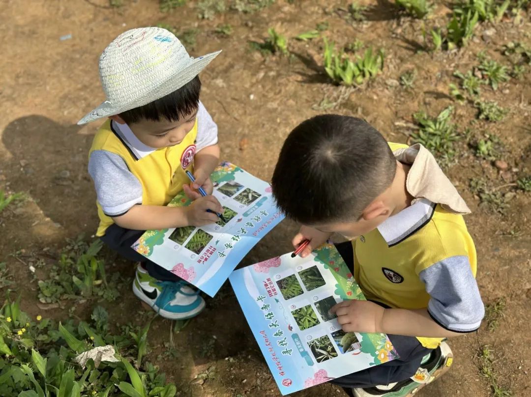 一隅自然 “育”见成长||泸州市梓橦路学校附属幼儿园“自然周”主题活动