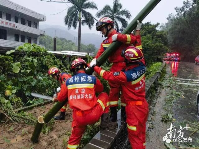 马贵镇迅速处置多处树木倾倒事故，防御形势平稳有序。
