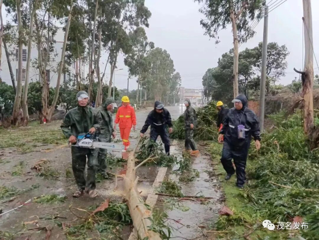 霞洞镇党员干部在清理主要道路倒塌的树干。