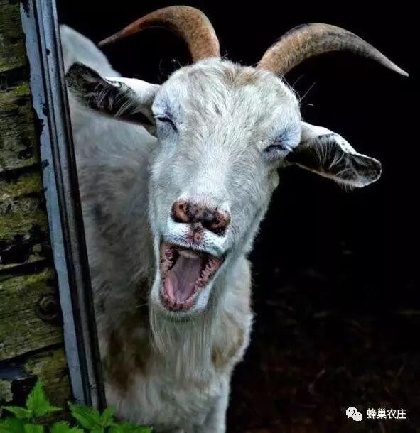 最新动态 - 无锡(马山)太湖国家旅游度假区