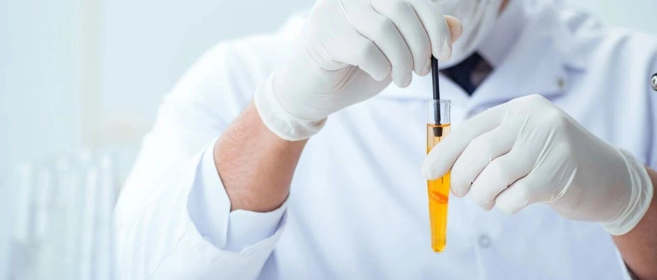 体检季 | 常见体检异常指标解读