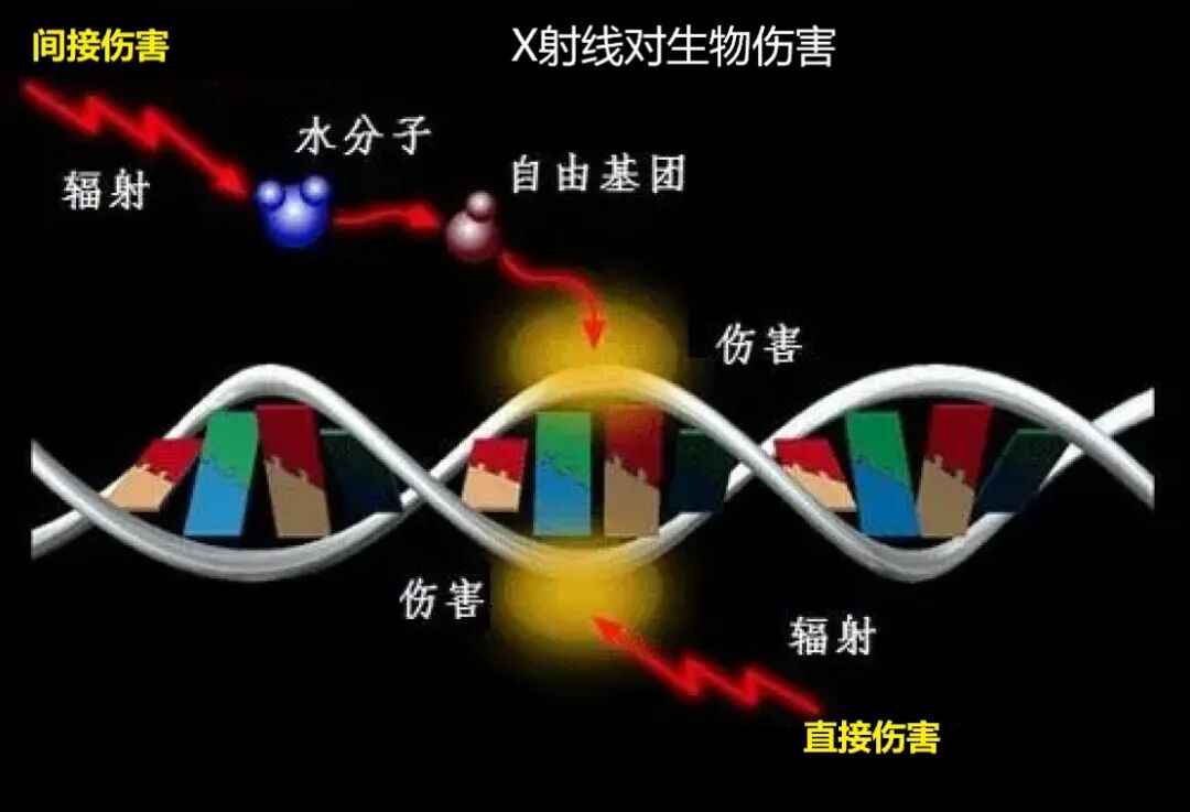 c射线是什么什么是X射线，它是如何被发现的，对人类有多大影响？_https://www.jmylbn.com_新闻资讯_第19张