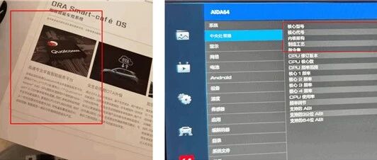 小姐姐狂怼车媒 质疑洗白欧拉好猫被喷惨！！