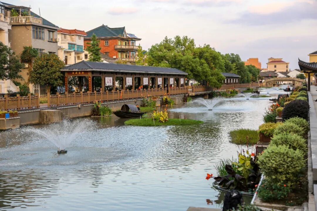 省农业农村厅领导到衙前调研美丽乡村建设工作