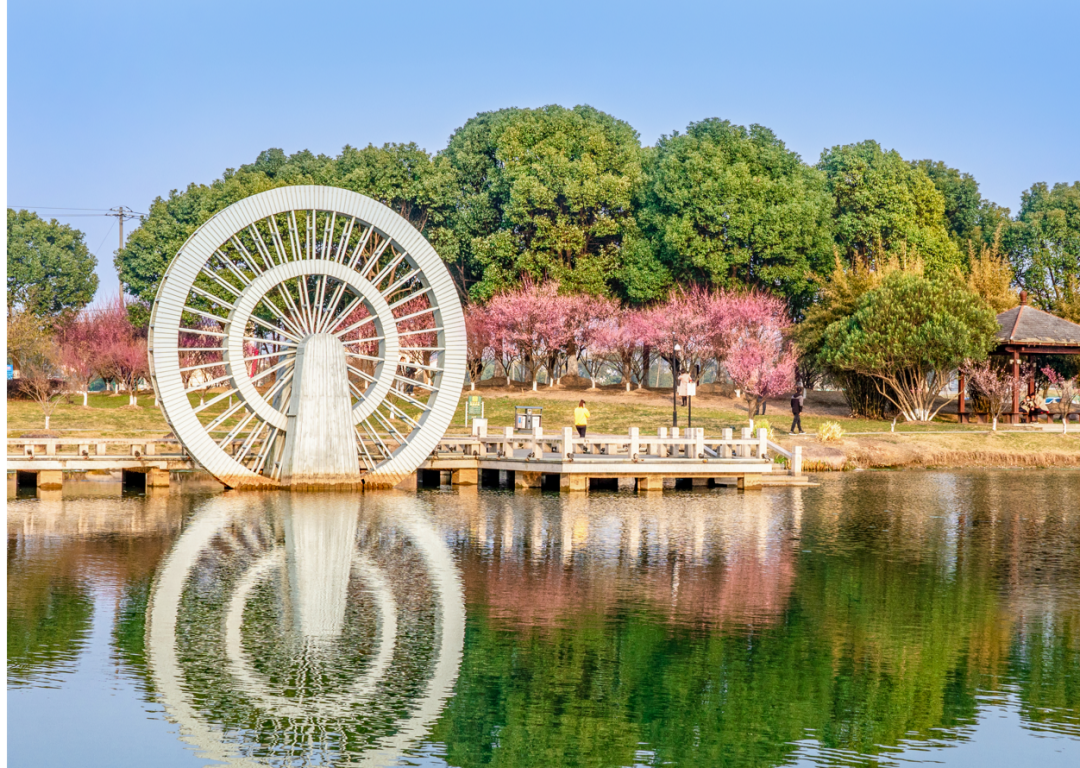 昆山赏花地图大全不可错过的春日好时光