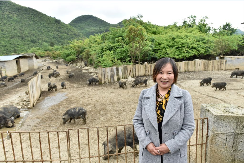 一路芬芳巴渝行 | 跟大V打卡重庆 走基层全程放送