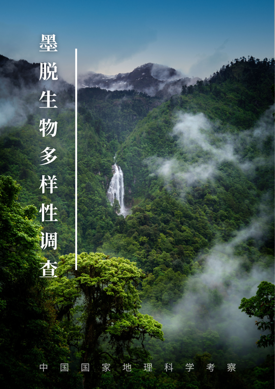 西藏墨脱生物多样性调查|活动报名