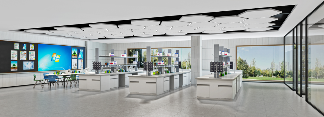 江湖龙虎门国语高清_龙虎门国语高清mp4下载_虎门外国语学校