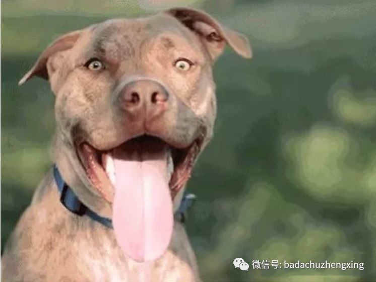 微波治疗机怎么使用天气热了，尴尬的腋臭多汗症_https://www.jmylbn.com_新闻资讯_第2张