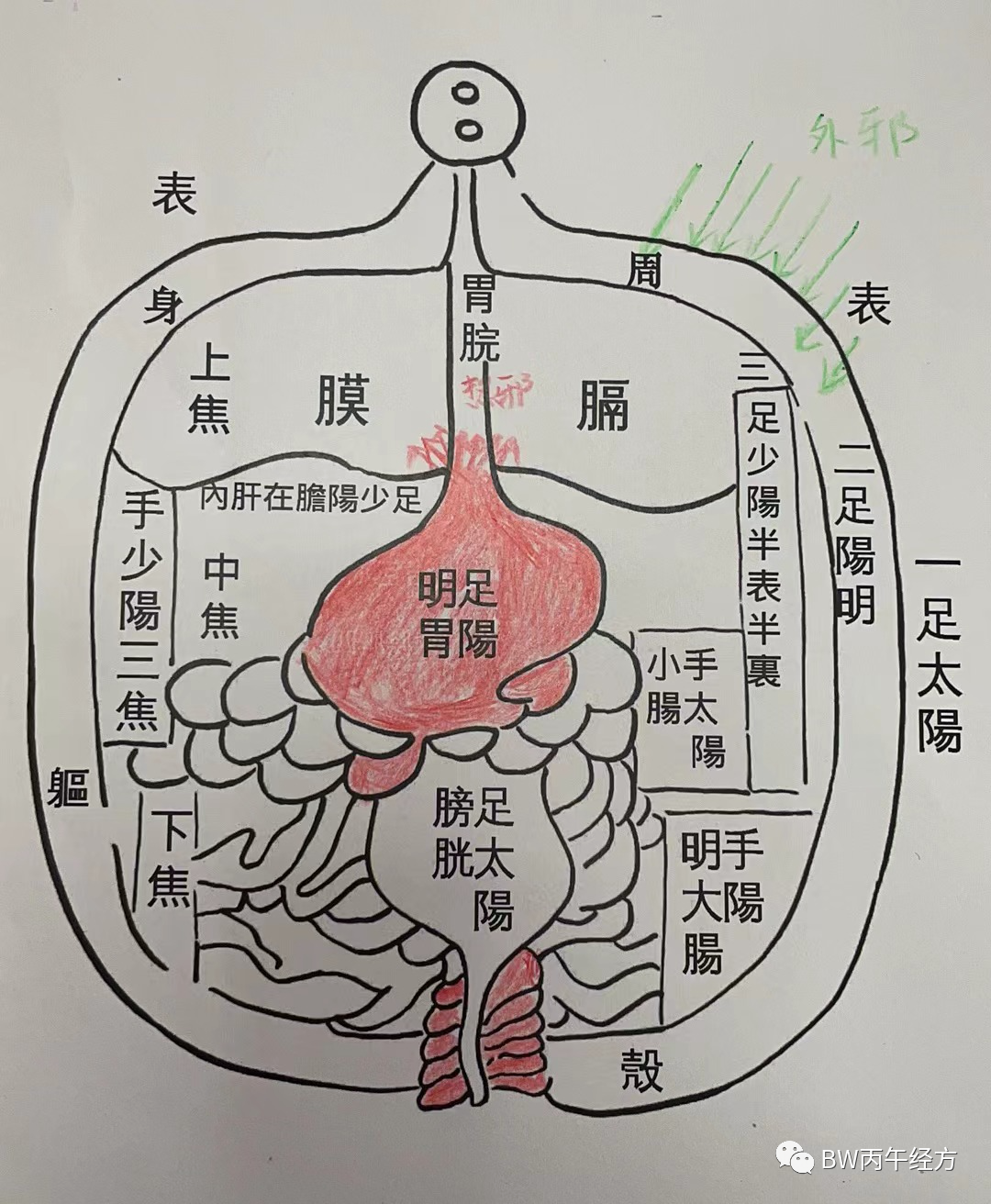 中医是如何分析一个人的病情，丙午经方辨证超乎你想象