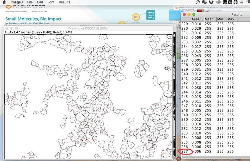 Transwell- image J五步分析法与经验总结