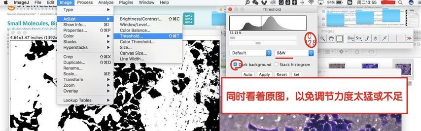 Transwell- image J五步分析法与经验总结