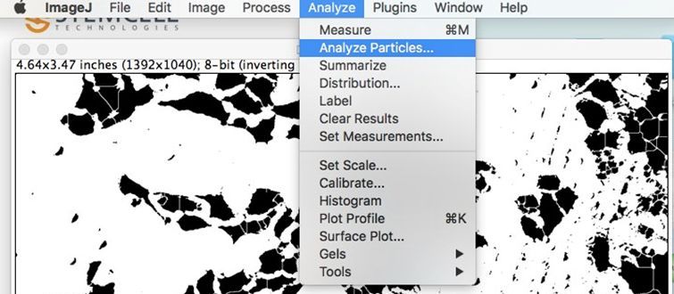 Transwell- image J五步分析法与经验总结