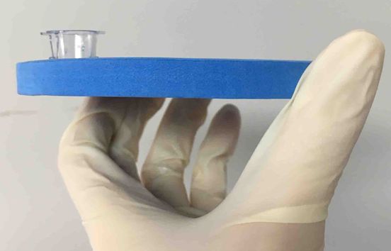 Transwell- image J五步分析法与经验总结