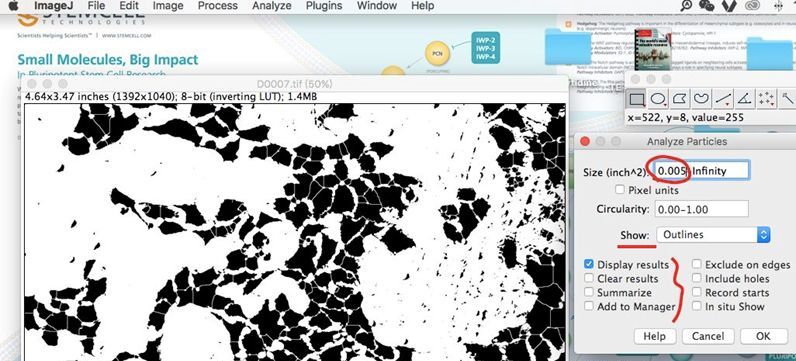 Transwell- image J五步分析法与经验总结