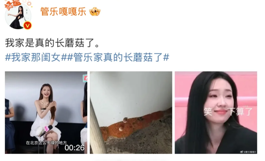 李莎旻子和管乐的家撞款了