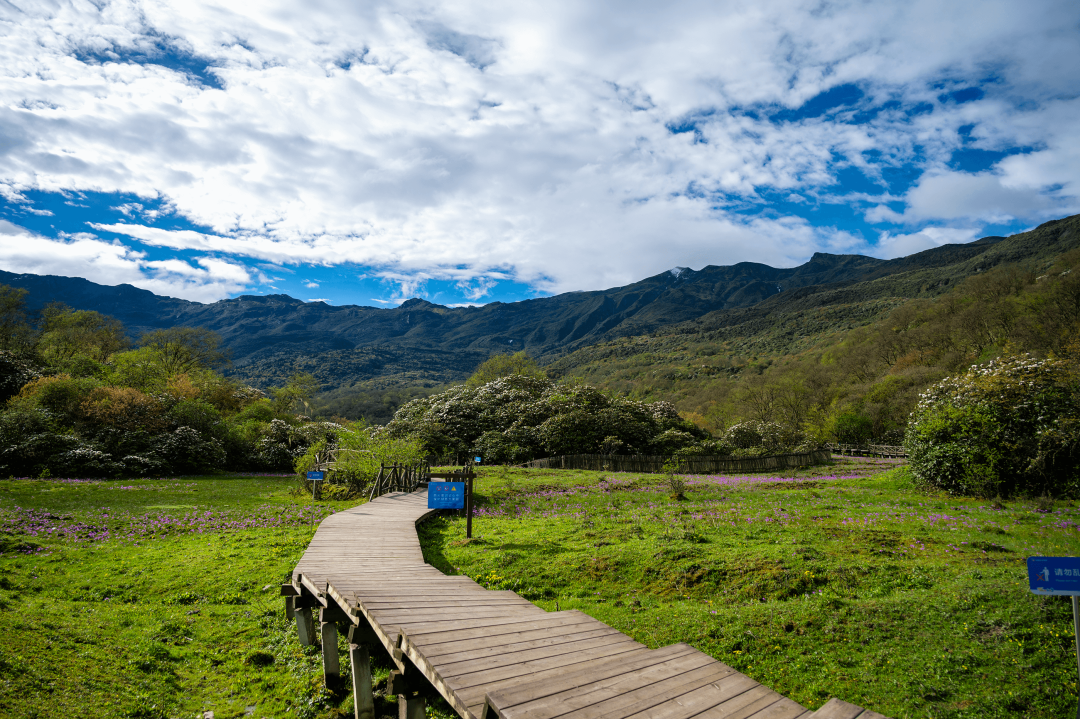 多地景区因汛期关闭