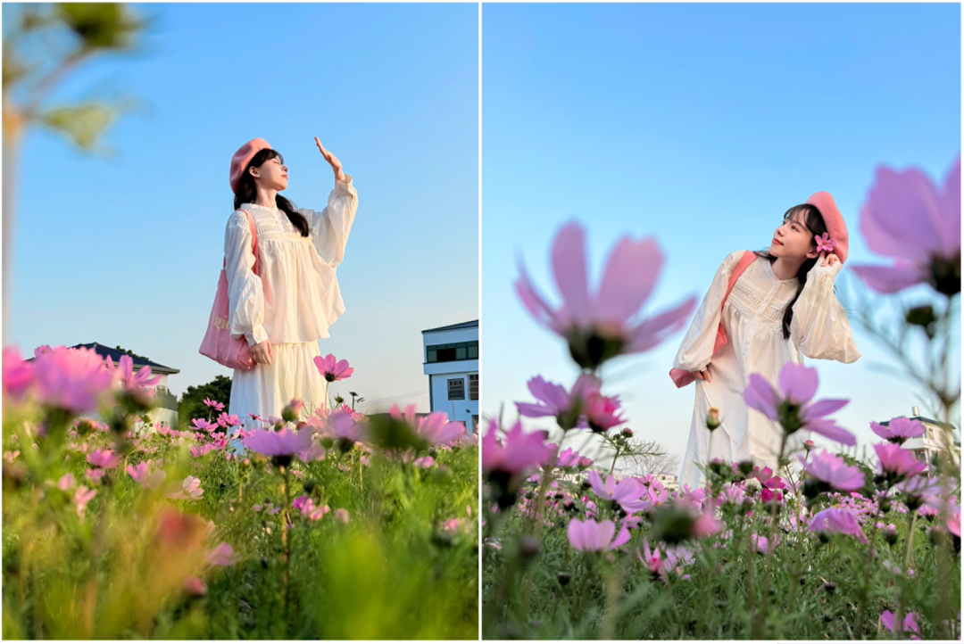 格桑花海萬能拍照技巧，小白秒變仙女！輕鬆拍出超美的花海震撼照片