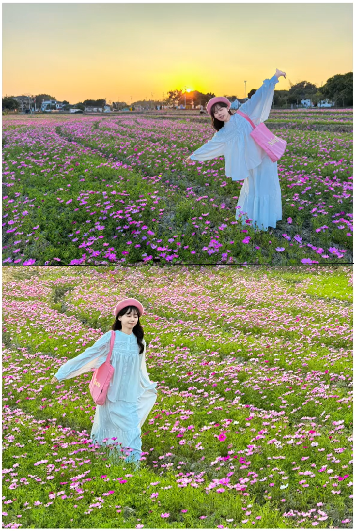 格桑花海萬能拍照技巧，小白秒變仙女！輕鬆拍出超美的花海震撼照片